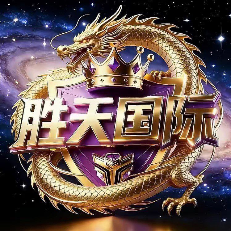 胜天国际-新台大水