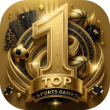 Top1(主推)